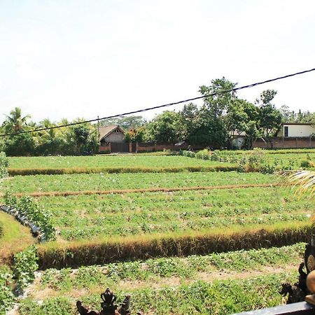 Ancut Sari Hotell Ubud Exteriör bild