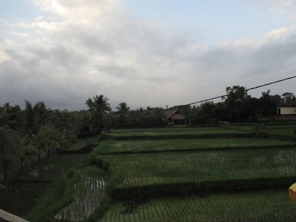 Ancut Sari Hotell Ubud Exteriör bild