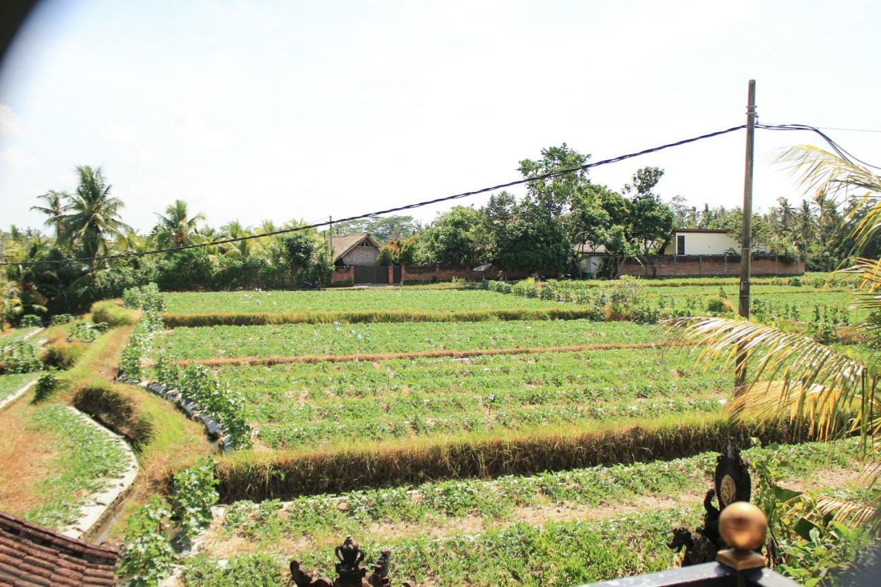 Ancut Sari Hotell Ubud Exteriör bild